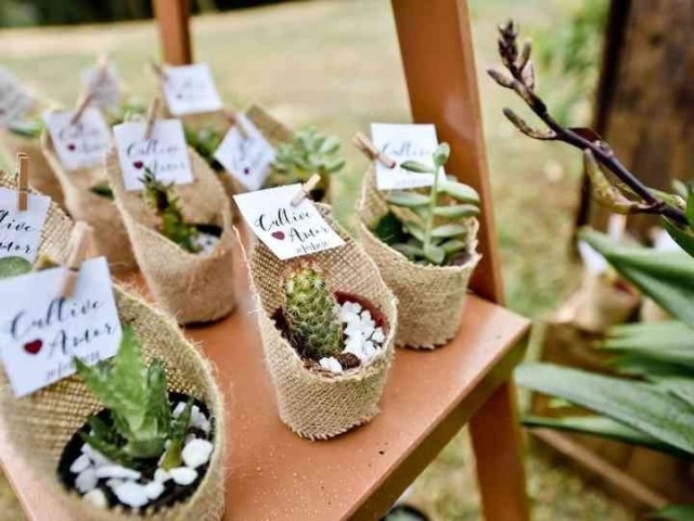 Plantinhas, eu amo tudo da nagureza