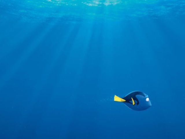 Procurando Dory