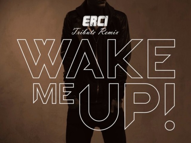 wake me up-Avicii