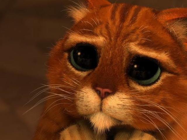 Gato de Botas