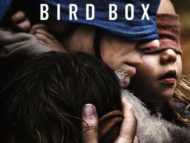 bird box