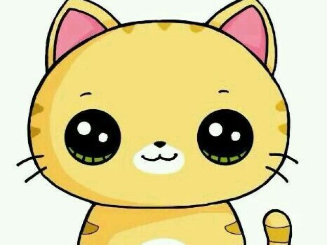 Gatinho lindoooooooooooo!!!!!!!!!