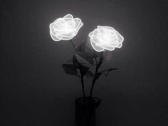 Dark