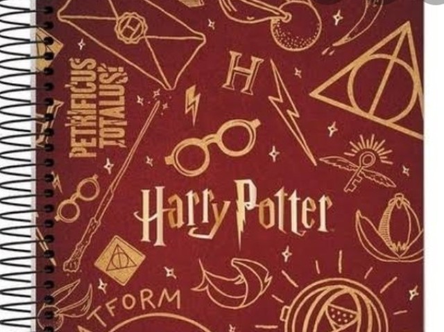 Caderno do Harry Potter