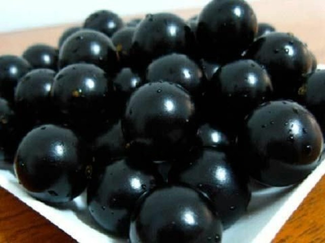 Jabuticaba