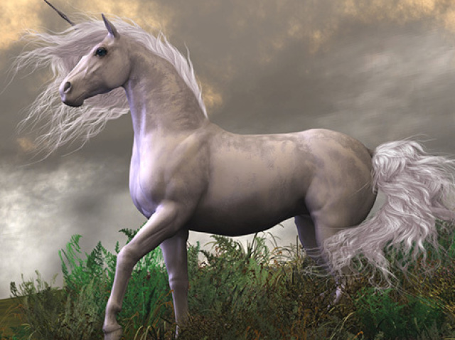 Unicórnio 🦄