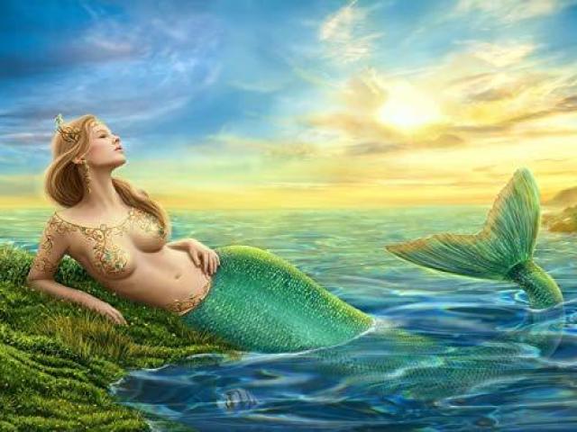 Sereia 🧜♀️
