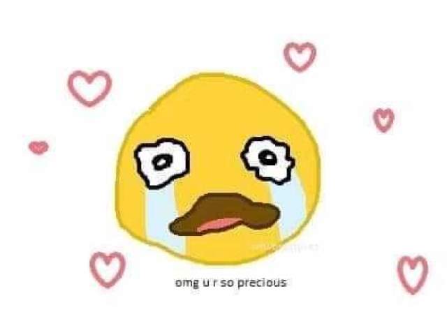 eu não sei por onde começar, eu estou nervoso demais e talvez pareça emocionado demais, mas faço isso porque tenho certeza que te quero e que te amo muito.
meus dias com você tem se tornado incríveis e sinceramente... a hora que eu acordo, eu já quero ir correndo te mandar mensagem de bom dia.
você é meu pensamento preferido ao acorda e vai até anoitecer, tudo me lembra você e quero que entenda que eu preciso de você, como o homem da minha vida, que você já é e sabe disso.
quero que me dê uma oportunidade de te fazer feliz e deixar de lado todas as coisas do passado. você é extremamente importante e se tornou a melhor coisinha mais preciosa do meu mundo.
você me faz muito bem e eu quero poder retribuir todo esse bem, sendo seu homem, oficialmente, pra valer, ser seu leãozinho.
eu honestamente ainda não acredito que você me ama, eu sempre quis isso e eu estou muito realizado de ter você na minha vida.
por isso, queria saber se você aceitar ser meu príncipe pra *sempre* *sempre* , se você está disposto a dividir momentos bons e ruins comigo e se você quer ver eu surtar a cada coisa que lançar do blackpink skkdkdkfkdkdkkekdkdkekdkek. você aceita, amor??????? eu prometo te cuidar bem e você também deve me cuidar..😠 EU TE AMO MTMTMTMTMTMTMTMTMTMT.