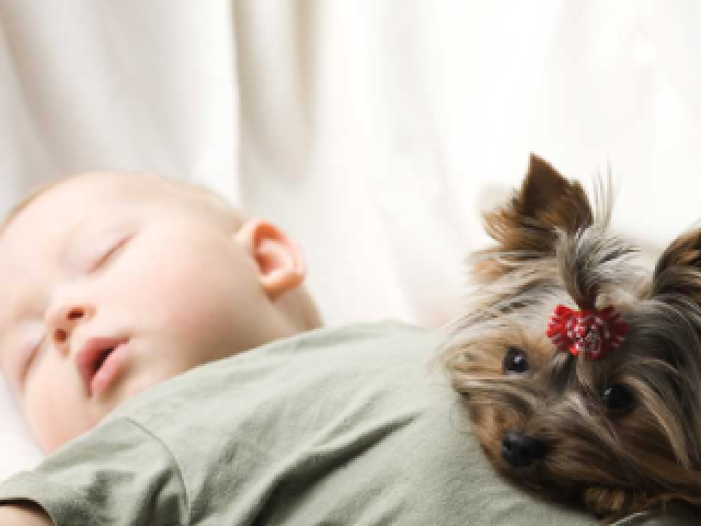 Com o cachorrinho da sua filha