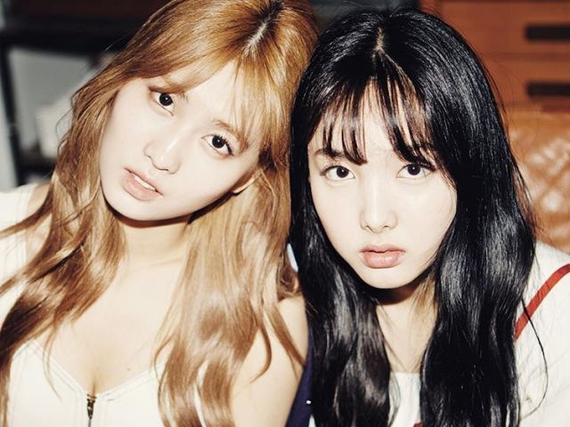 Momo/Nayeon