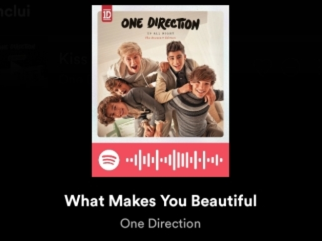 What Makes you Beautiful