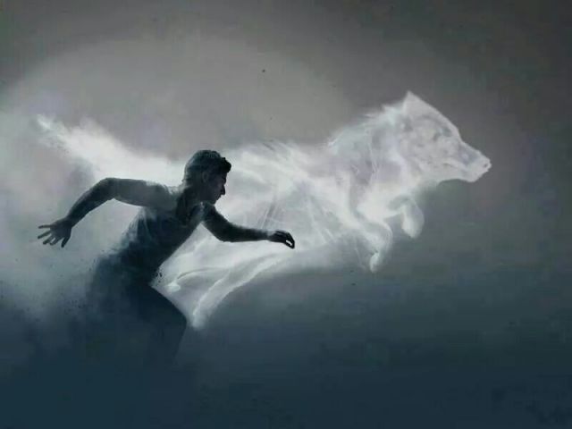 Você sabe sobre Teen Wolf? (nível fácil)