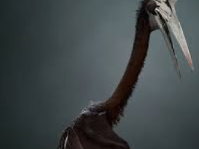 Quetzalcoatlus