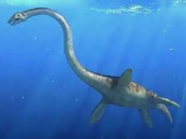 Elasmossauro