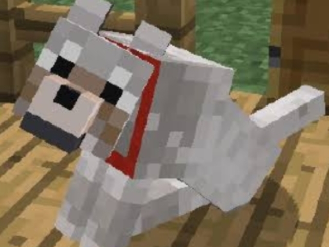 Minecraft! Aufh