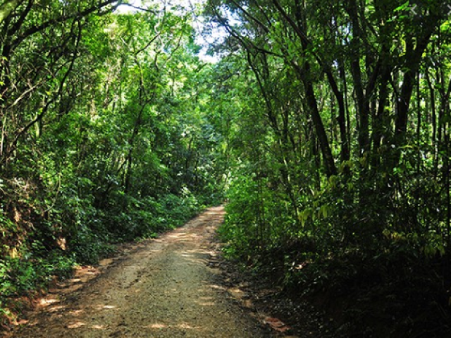 Um lugar calmo para andar