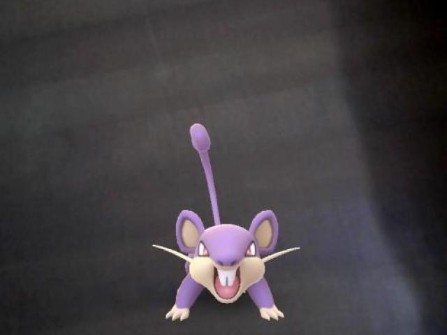 ratatta