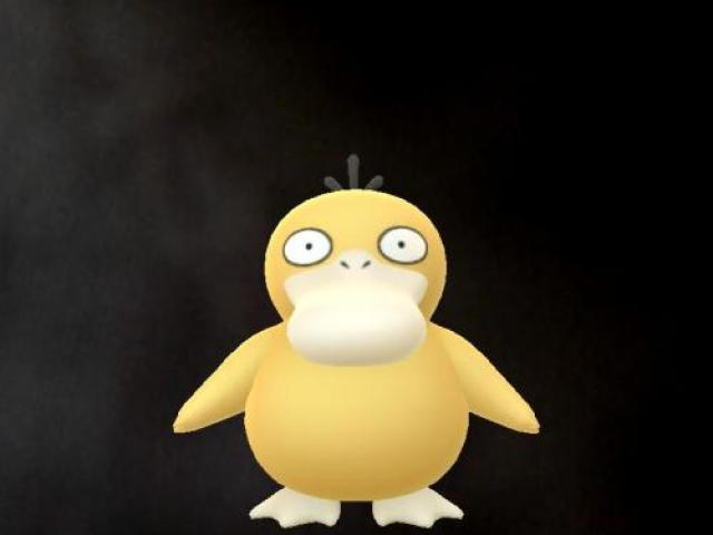 psyduck