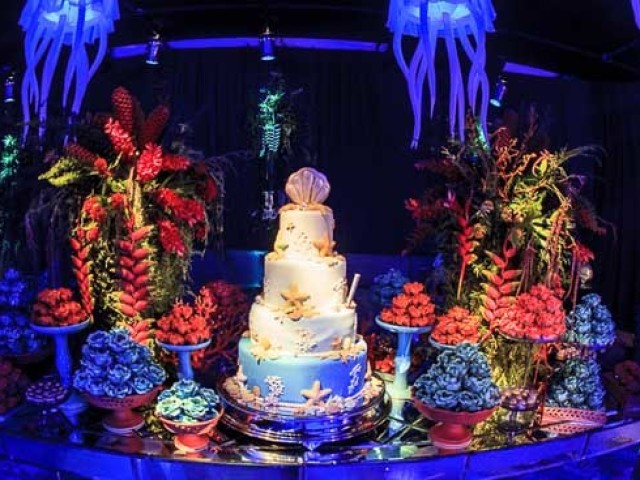 Seu aniversário de 15 anos/debutante!