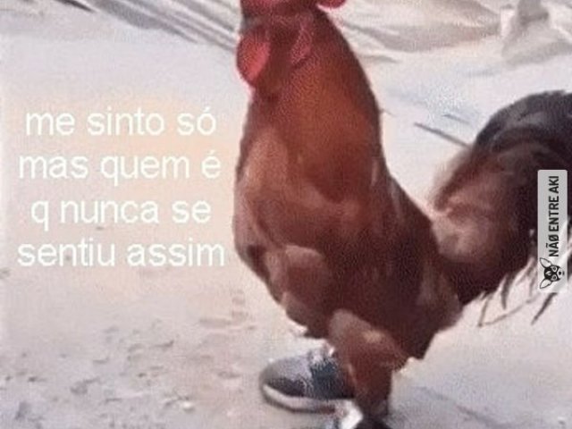 galo de tenis