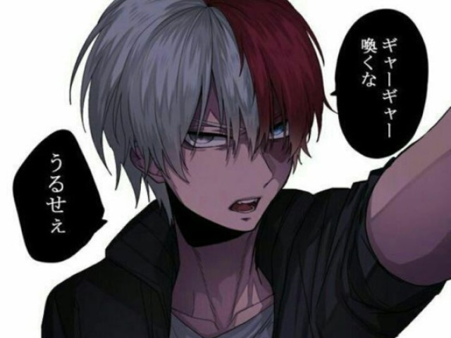 Vc diz a todoroki que tem que ir, então ele fala:mas já?
Vc: sim minha mãe falo que eu preciso voltar
Então ele pede seu numero e você da a ele e vai para casa