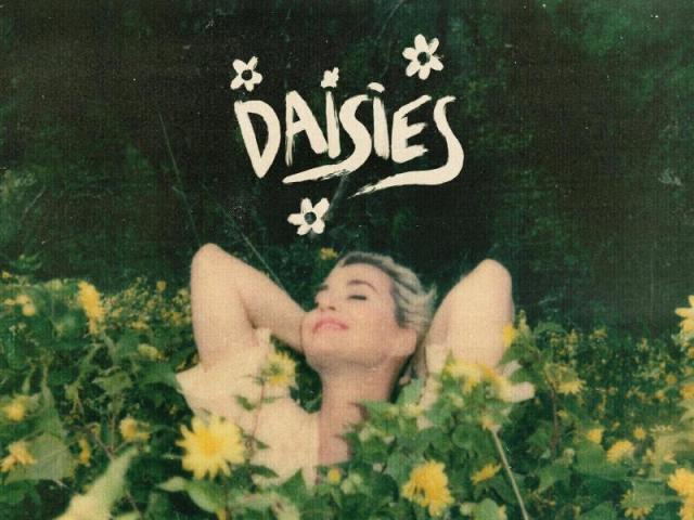 Daisies