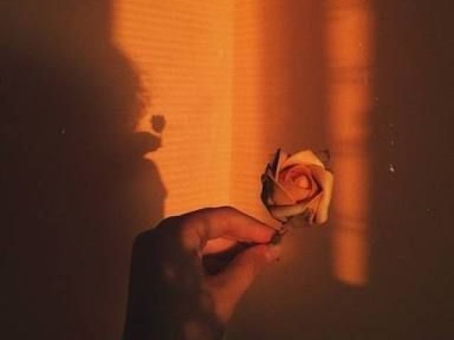 Sol