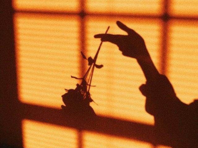 Sua sessão de fotos foi maravilhosa!