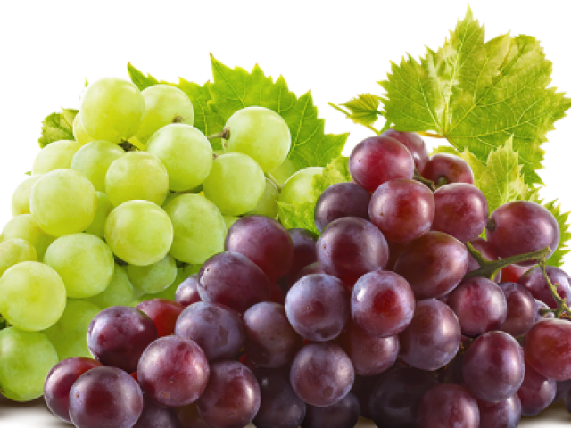 Uvas