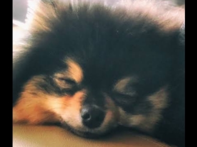 Yeontan