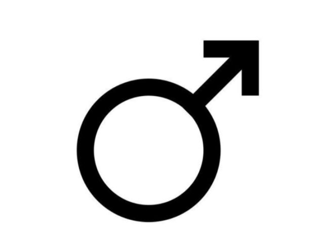 Sexo Masculino 💁♂️♂️