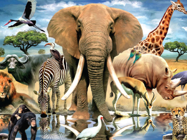 Qual animal você deveria ser?