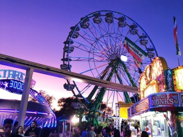 🎡