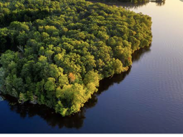 Amazônia