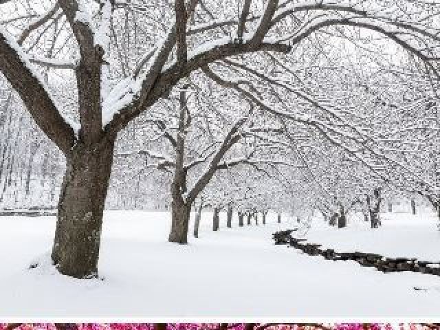inverno