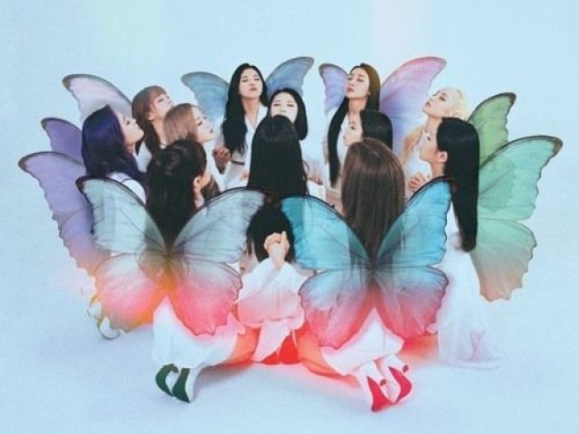 🦋Butterfly/Loona🦋