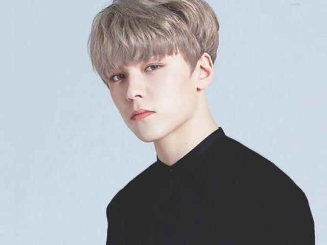 Vernon (Seventeen)