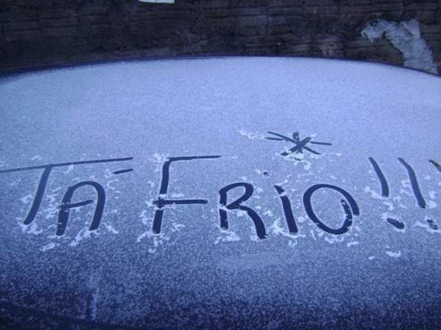 Frio