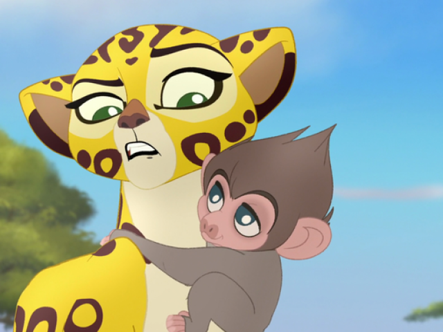 Babuínos