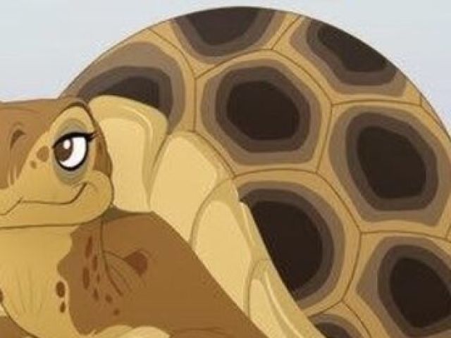 Tartarugas