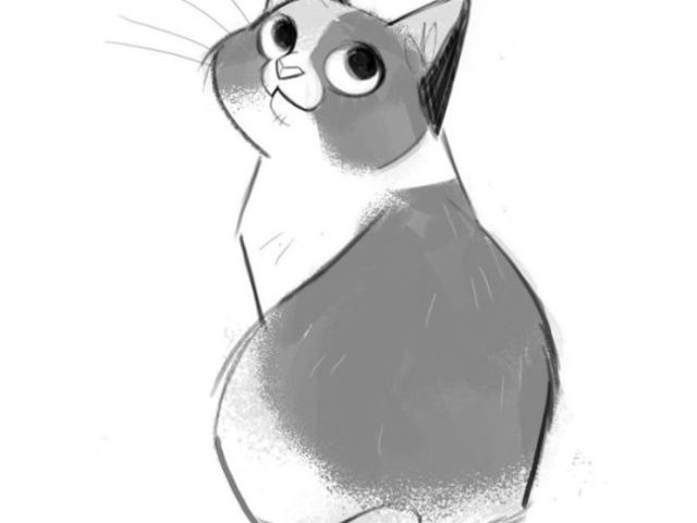 Gato