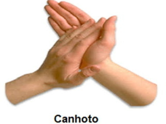 Canhoto