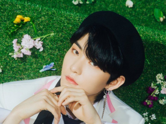 Hwall (The Boyz)