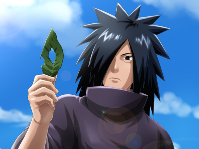 Madara adulto