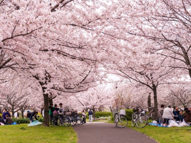 Parque só para dar uma caminhada mesmo