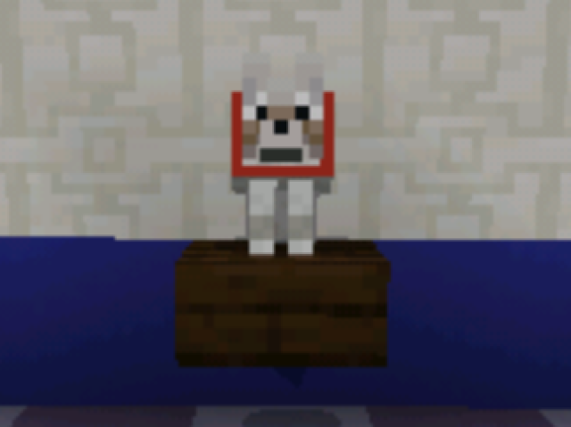 Espirro