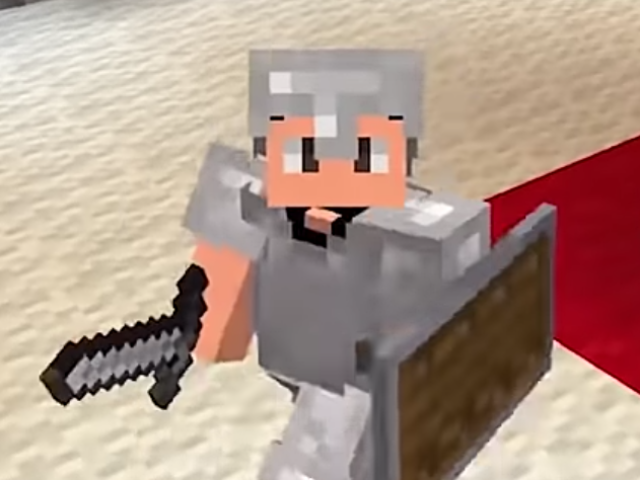 Professional Minecrafter