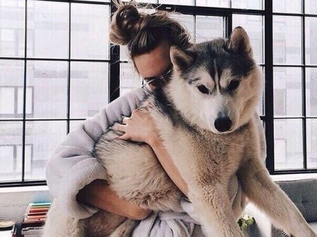Monte sua casa e diremos qual animal de estimação você deveria ter!