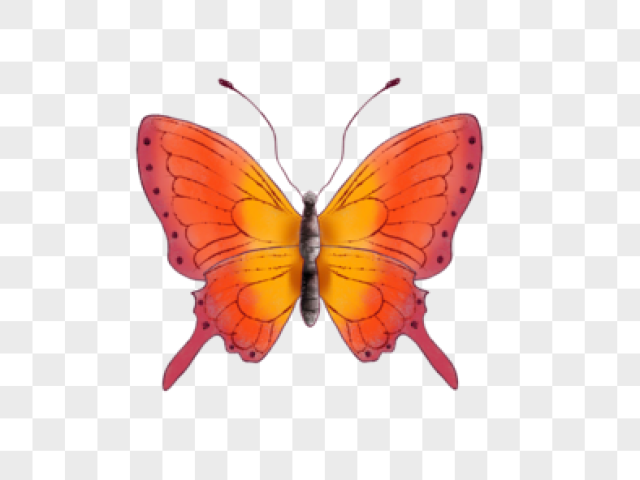 Laranja