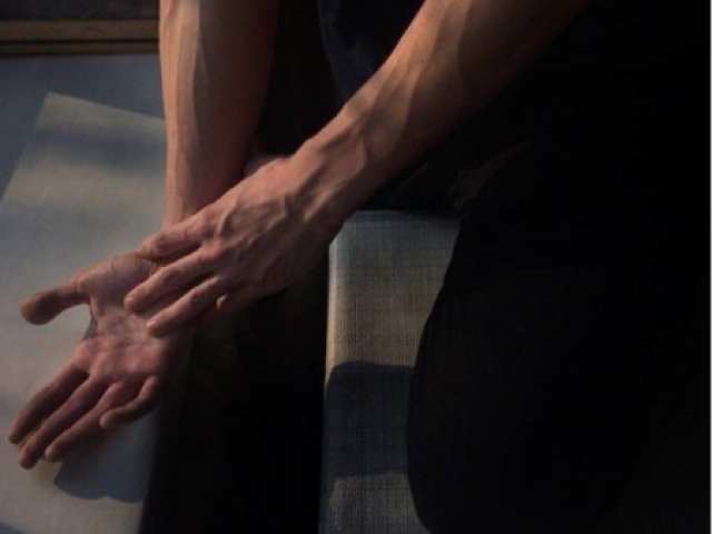 Hands or veins